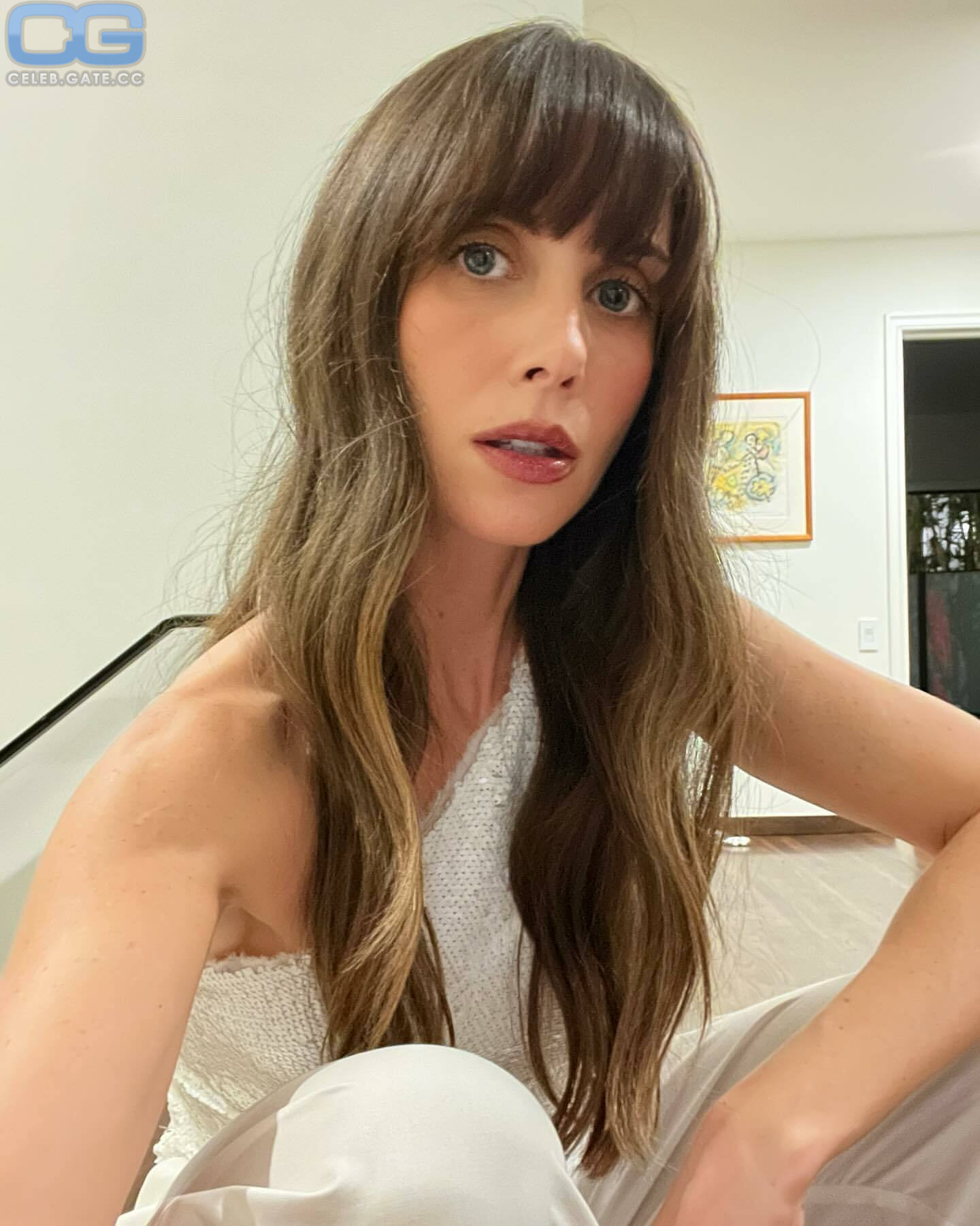 Alison Brie Nude 181 Hot Leaked Pics Naked 18+ Uncensored