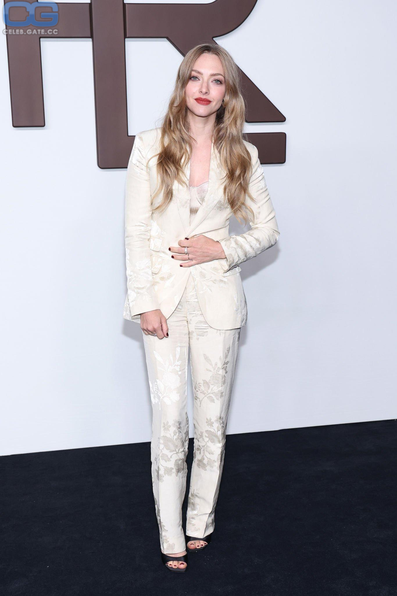 Amanda Seyfried Nude 152 Hot Leaked Pics Naked 18+ Uncensored