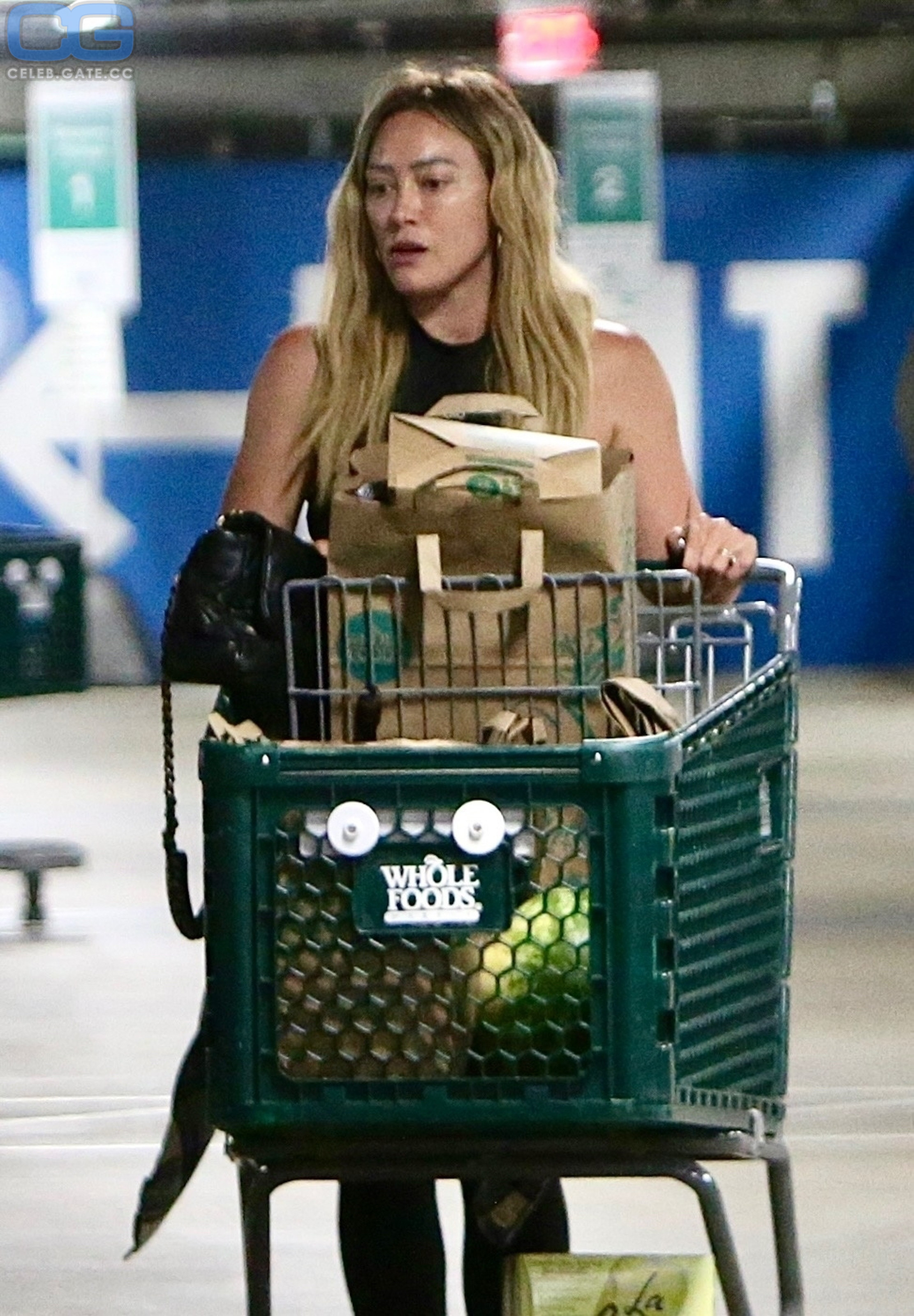 Hilary Duff Nude 310 Hot Leaked Pics Naked 18+ Uncensored