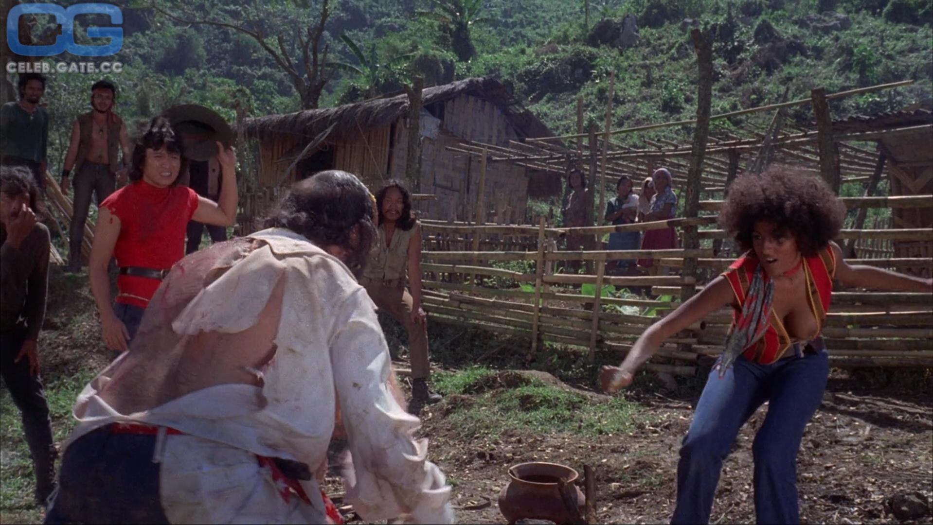 Pam Grier Nude 23 Hot Leaked Pics Naked 18+ Uncensored