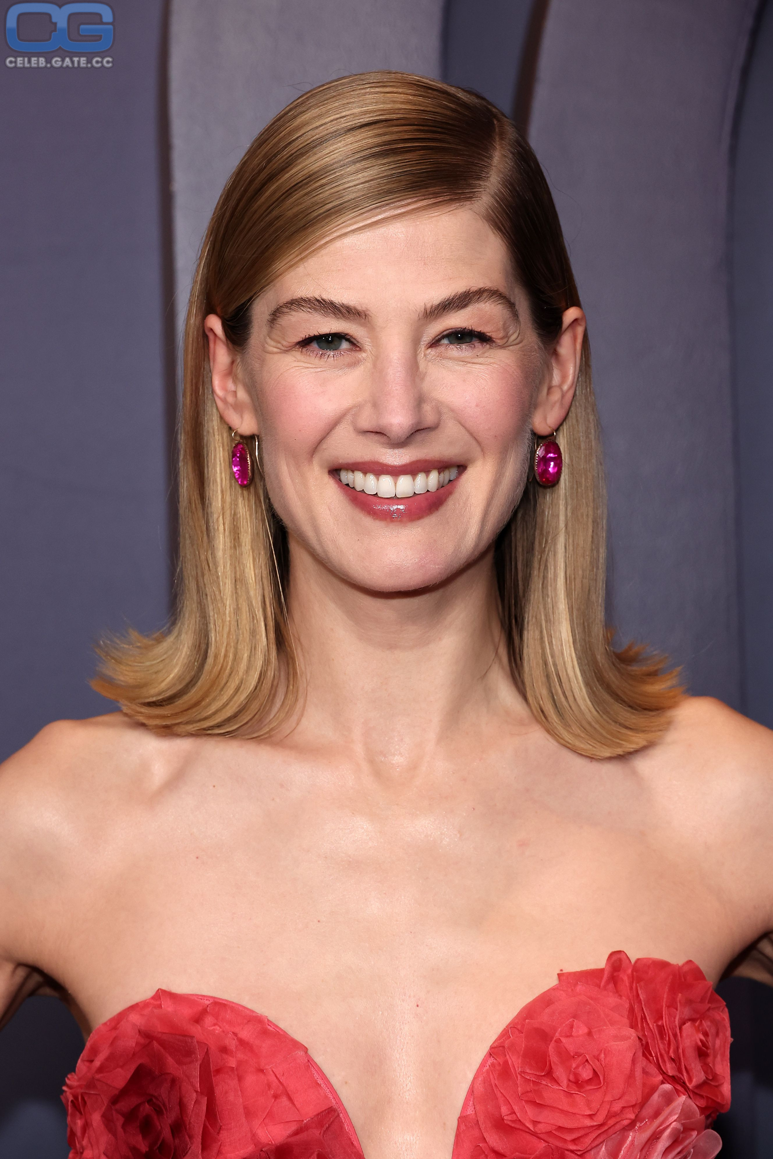 Rosamund Pike Nackt | 74 Heiße Leaks Bilder | 18+ Unzensiert