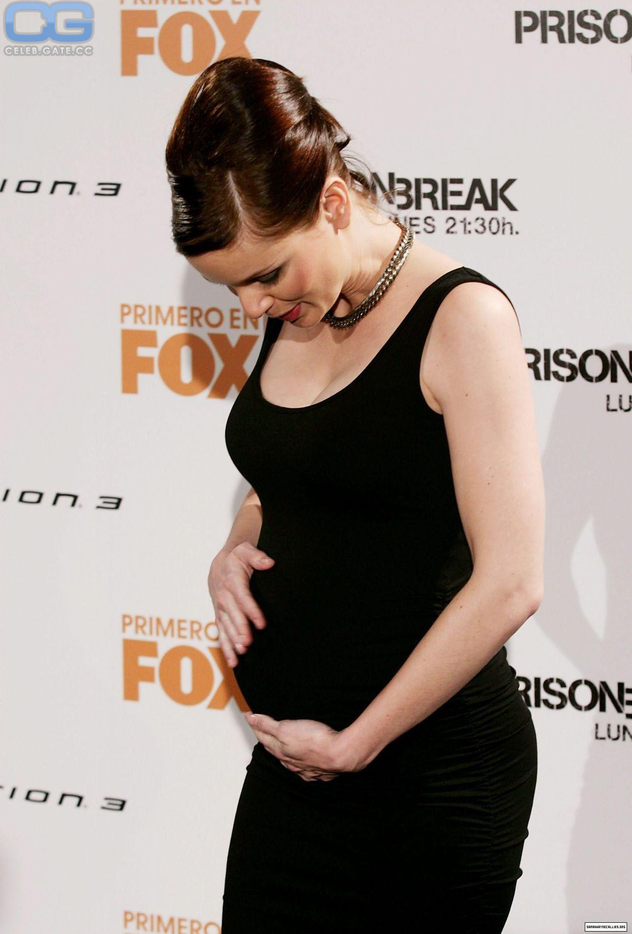 Sarah Wayne Callies Nude | 31 Hot Leaked Pics | Naked 18+ Uncensored