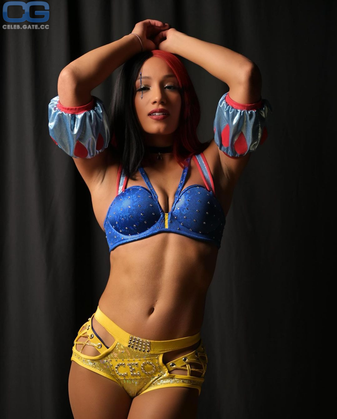Sasha Banks Nude 34 Hot Leaked Pics Naked 18+ Uncensored