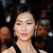 Liu Wen