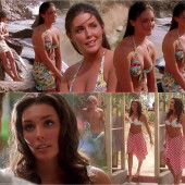 Taylor Cole