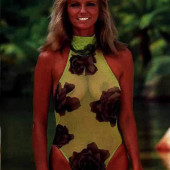 Cheryl Tiegs 