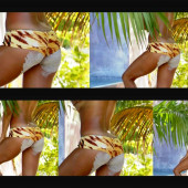 Brooke Burke Charvet