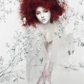 Lily Cole