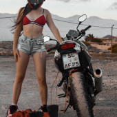 Affe auf Bike