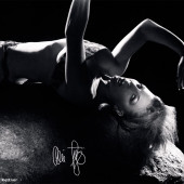 Anni Friesinger