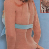 Aracely Arambula