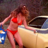 Catherine Bach 