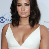 Demi Lovato ausschnitt
