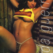 Vida Guerra