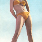 Raquel Welch