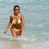 Emmanuelle Chriqui