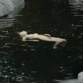 Isild Le Besco 