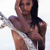 Jasmine Tookes nackt