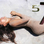 Jessica Michibata playboy