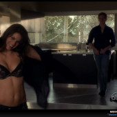 Missy Peregrym