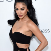 Nicole Scherzinger body