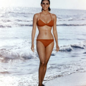 Raquel Welch