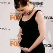 Sarah Wayne Callies 