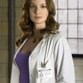 Sarah Wayne Callies 