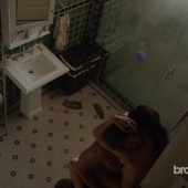 Sarah Wayne Callies sex szene