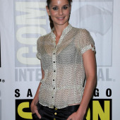 Sarah Wayne Callies topless