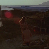 Sheryl Lee 