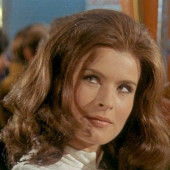 Silvana Venturelli