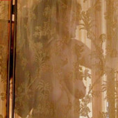 Susan Sarandon