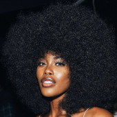 Tanerelle