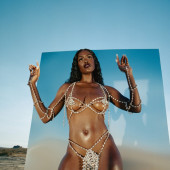 Tanerelle 