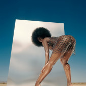 Tanerelle 