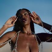 Tanerelle 