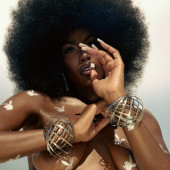 Tanerelle 